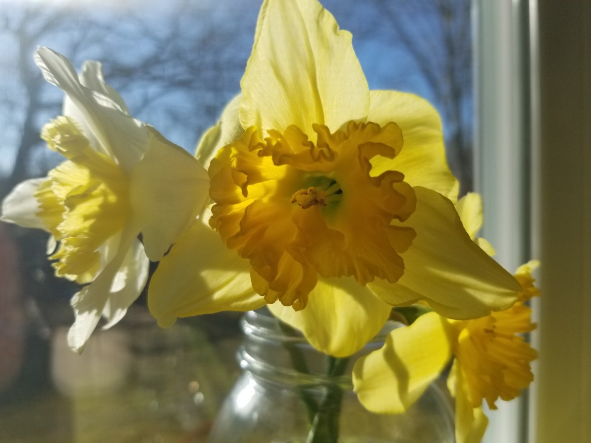 Leaders, Find Your&nbsp;Mojo